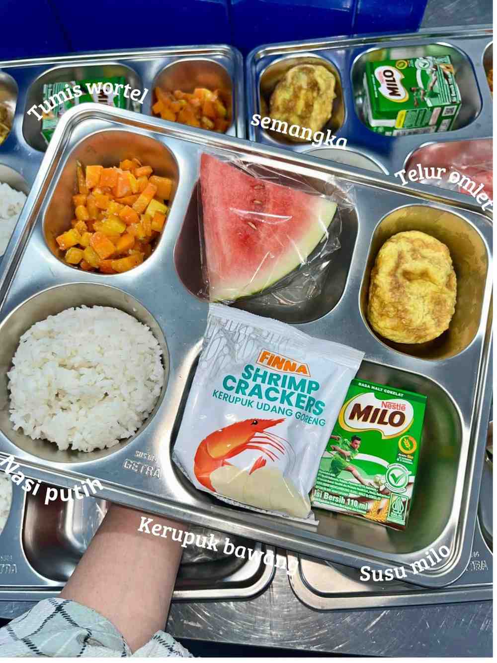 Nasi Omelate